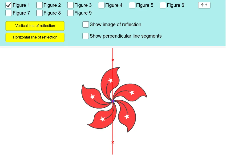 Reflectional Symmetry Demonstration