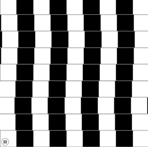 Geometric Construction and Sequence Demonstration of Optical Illusion