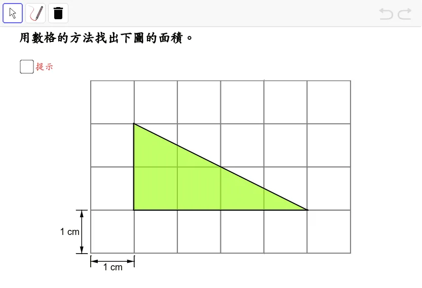 Polygon Area Measurement and Geometric Transformations