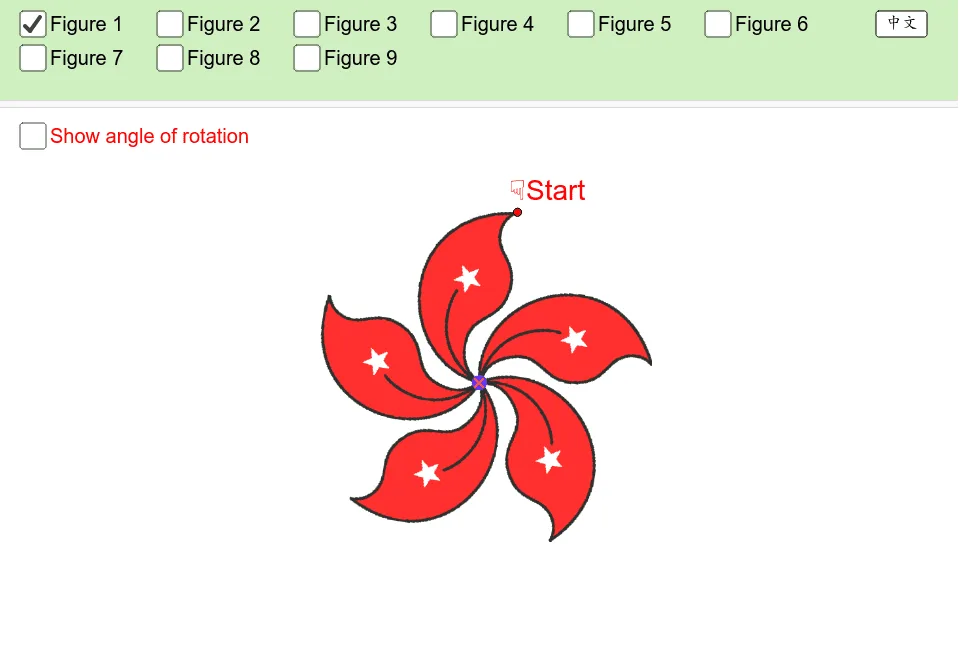 Rotational Symmetry Demonstration
