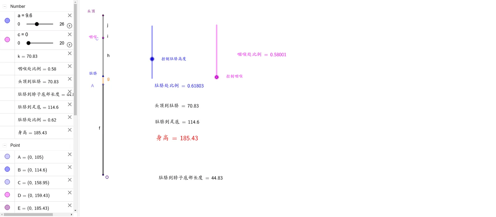 维纳斯的身高与黄金分割比例（简易版）
