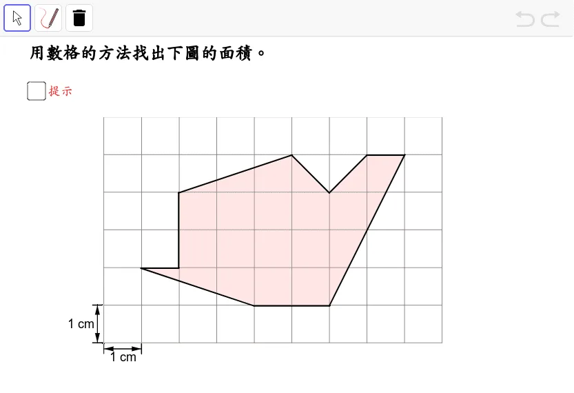 Polygon Area Measurement and Geometric Transformations