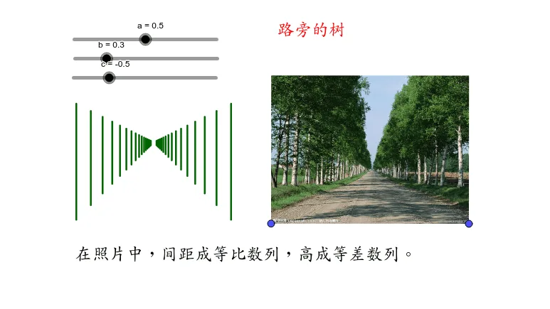 Trees by the Road: Sequence and Geometric Transformation