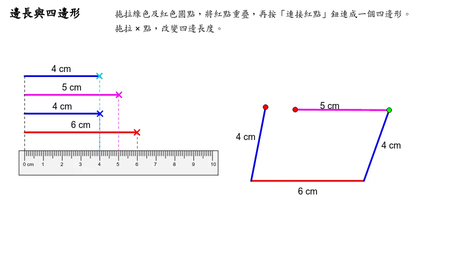 四边形的分类与几何特性探究