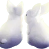 raruru